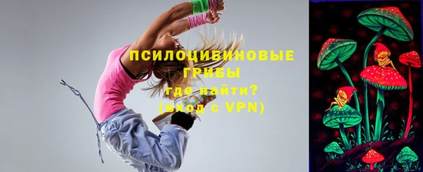 МДПВ Алексин