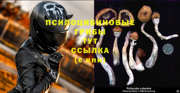 МДПВ Алексин