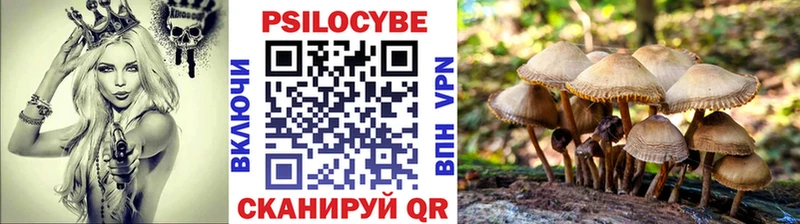 Псилоцибиновые грибы Psilocybe  закладки  OMG как зайти  Зуевка 
